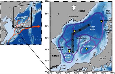 Carbon cycling in the East Sea (Japan Sea): A review